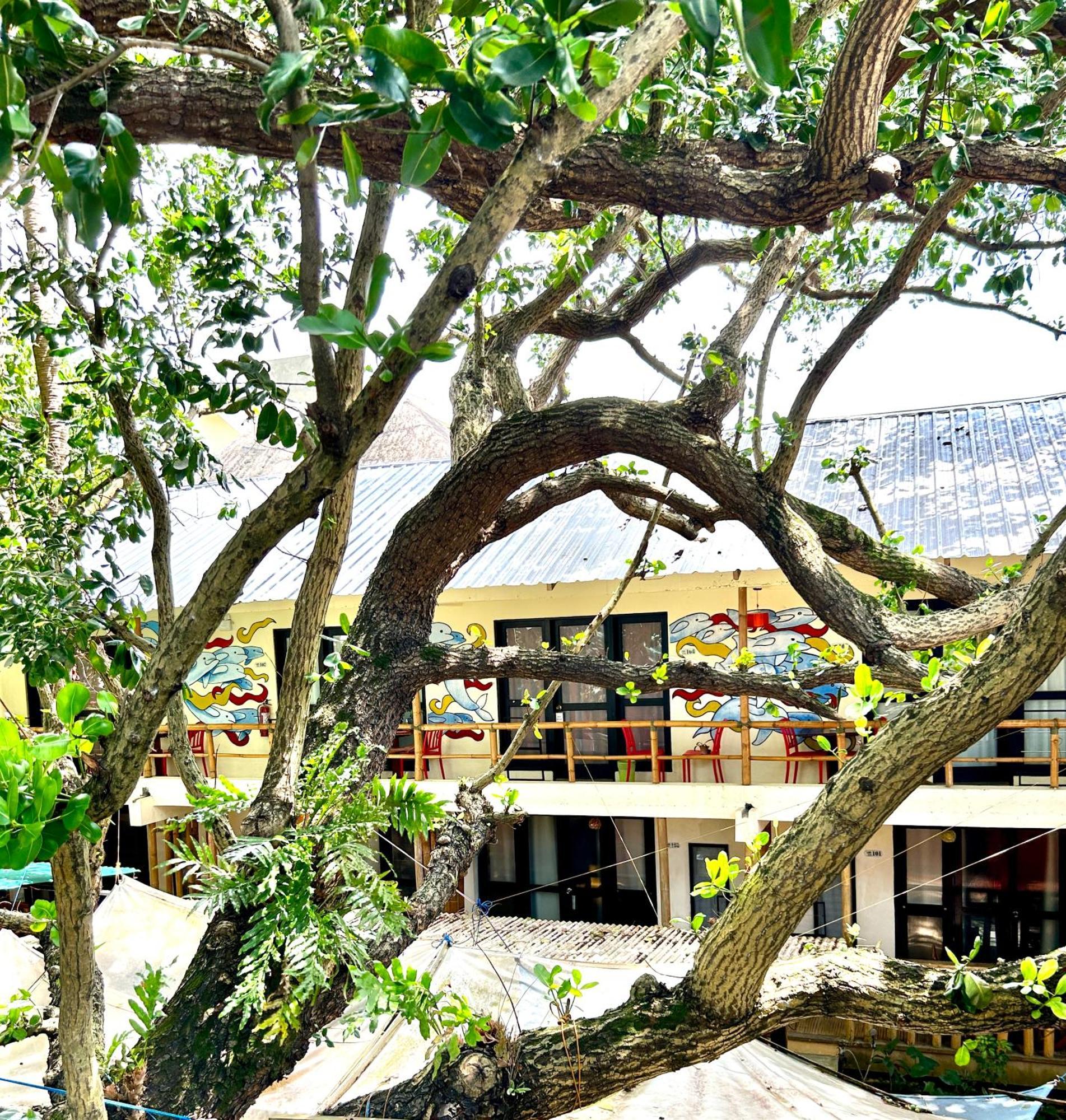 Lazy Dog Bed & Breakfast Balabag  Luaran gambar