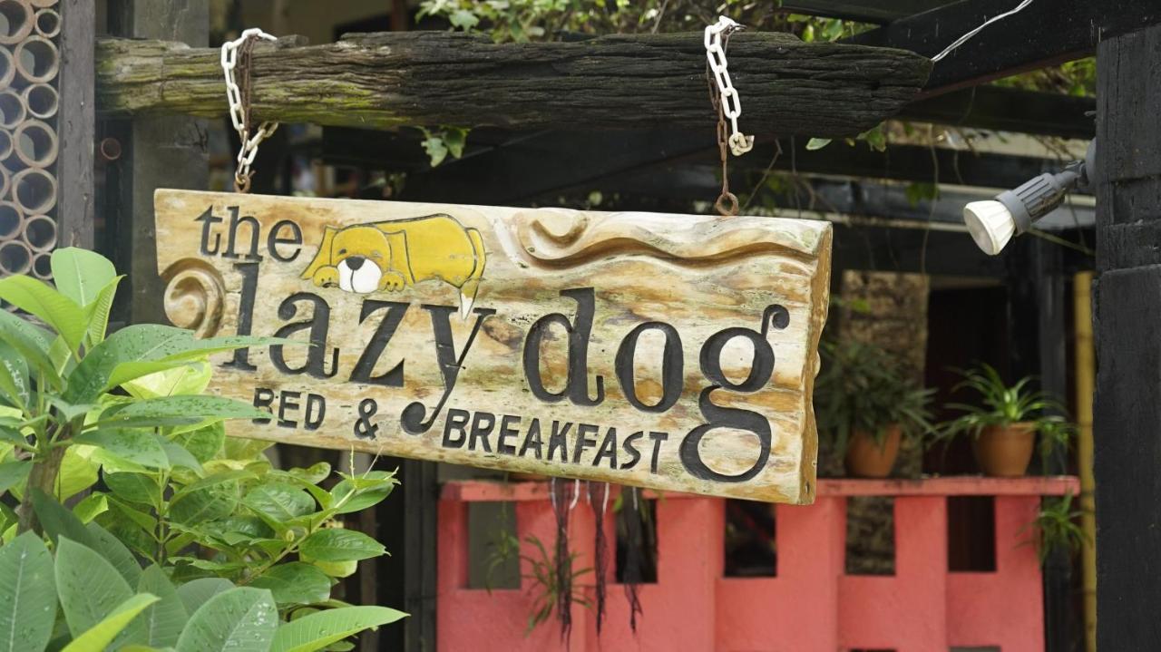 Lazy Dog Bed & Breakfast Balabag  Luaran gambar
